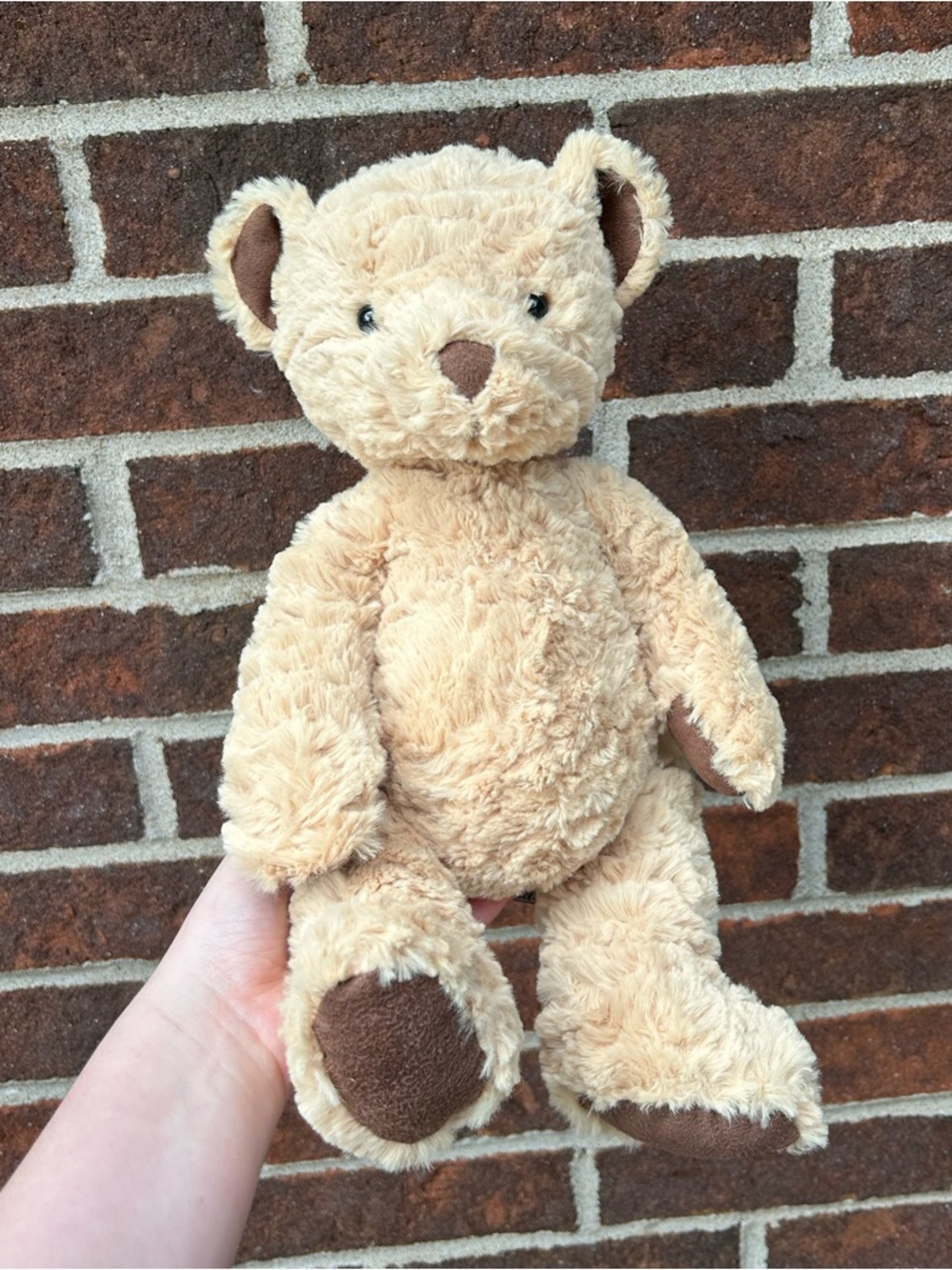 Jellycat NWT Edward bear